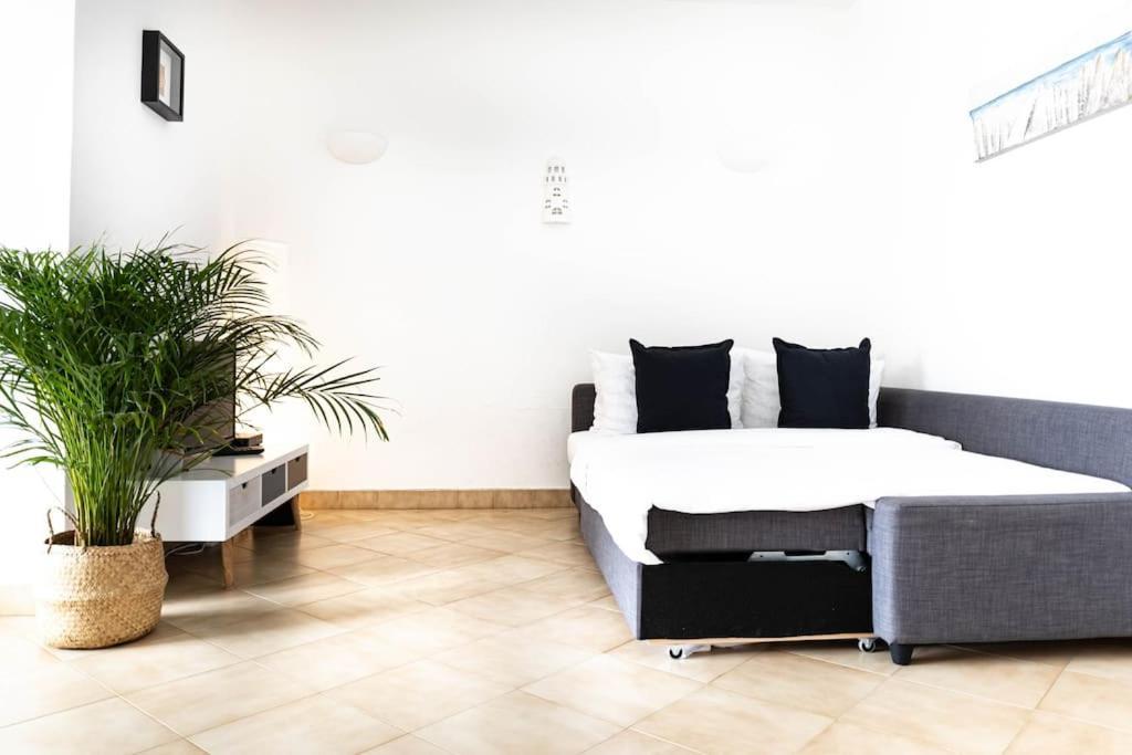 - Amazing Ocean View Apartment